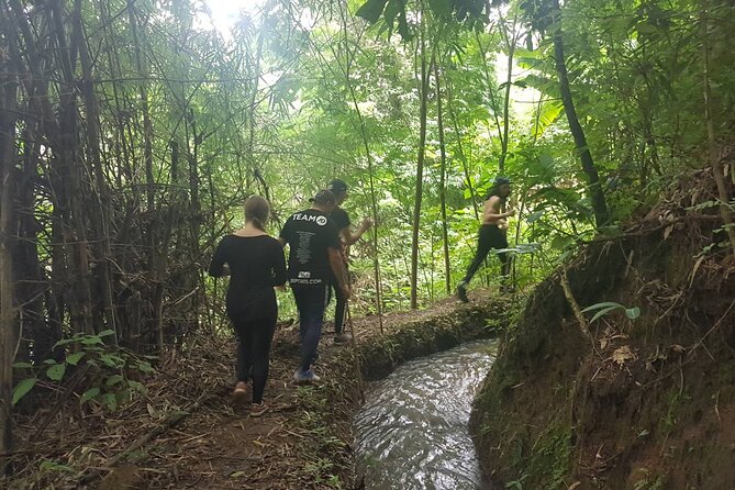 1 Day Trekking in Chiang Mai - What the trek really includes: mountain trails, cave, and waterfall swim