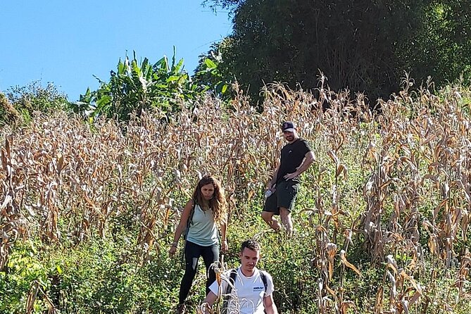 1 Day Trekking in Chiang Mai - Family-friendly trekking, with a reality check
