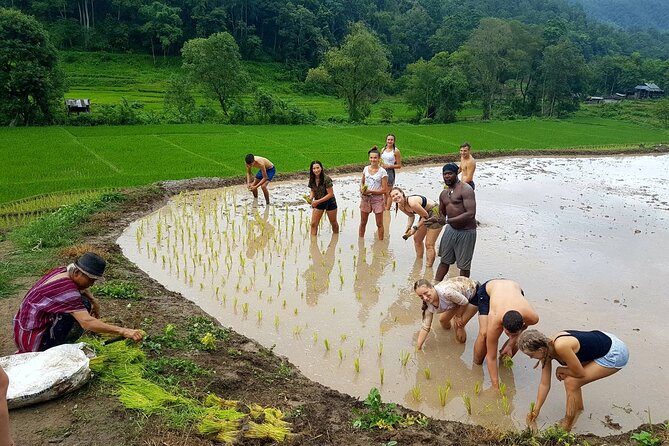 1 Day Trekking in Chiang Mai - How private tour pacing changes your day