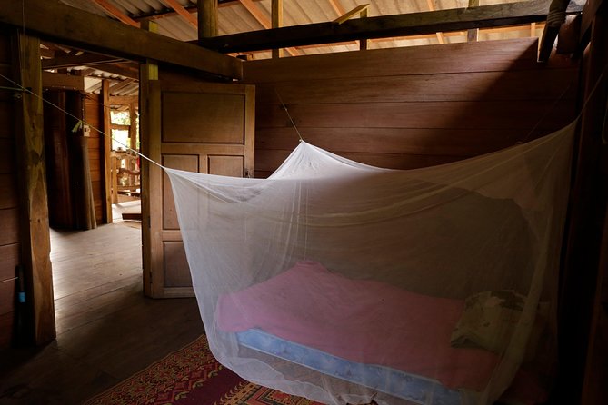 2-Day Kindred Spirit Elephant Sanctuary in Chiang Mai - Day 1 Starts With Doi Inthanon and Ends at a Karen Family Table