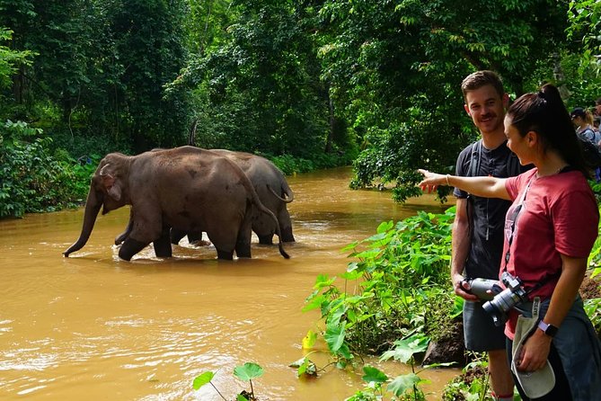 2-Day Kindred Spirit Elephant Sanctuary in Chiang Mai - Should You Book This 2-Day Kindred Spirit Elephant Sanctuary Tour?