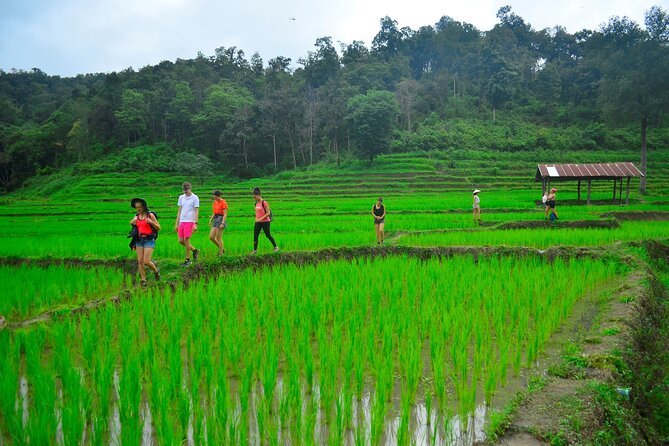 2 Days Hiking Tour in Chiang Mai - Arriving at the Karen Hill-Tribe Village and Overnighting in Bamboo