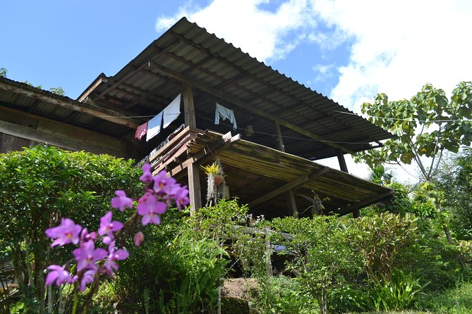 3-Day Chiang Dao Mountain Trek - Why the Chiang Dao Mountains trek feels more grounded than a city tour