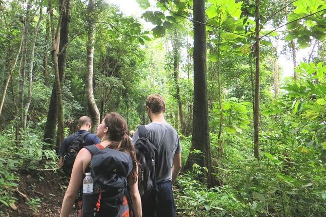 3-Day Chiang Dao Mountain Trek - Day 2: ridges, jungle trails, and the hardest day of the trek