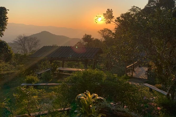 3-Day Chiang Dao Mountain Trek - Day 3: a three-hour descent to the Maetang River valley and a riverside lunch
