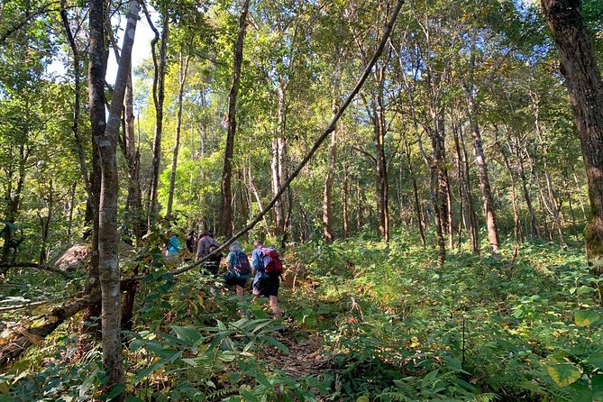 3-Day Chiang Dao Mountain Trek - Homestays and village nights: what you should realistically expect