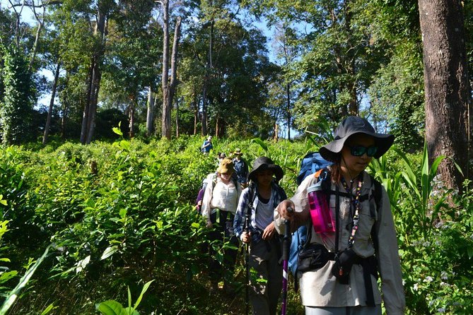 3-Day Chiang Dao Mountain Trek - Price and value: why $256 can make sense for an off-trail trek