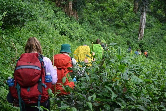 3 Day Motorcycle Tour (Mae Hong Son Loop) from Chiang Mai, Thailand - Who should book this Mae Hong Son loop, and who should skip it