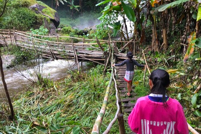 3-in-1: Doi Inthanon Tour, Elephant Sanctuary, and Trekking Trail - The Phak Dok Seaw trail to Pha Dok Seaw Waterfall: the hike that makes it memorable