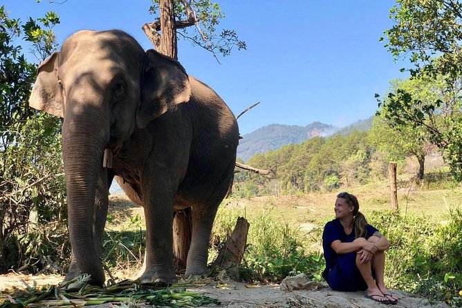 3-in-1: Doi Inthanon Tour, Elephant Sanctuary, and Trekking Trail - Ban Mae Klang Luang: coffee, community, and a calmer ending