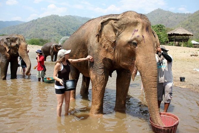 3D2NTrek Adventure at Chiang Mai Mea Wang Including Overnight at Karen Hilltribe - Karen village overnight: a rare add-on with real “basic lodging” tradeoffs