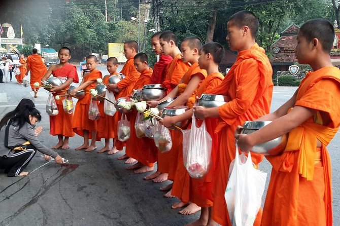 4 highlights: Sticky Waterfall/Elephants/local market /Wat Banden - Elephant sanctuary time: what to look for and what to expect