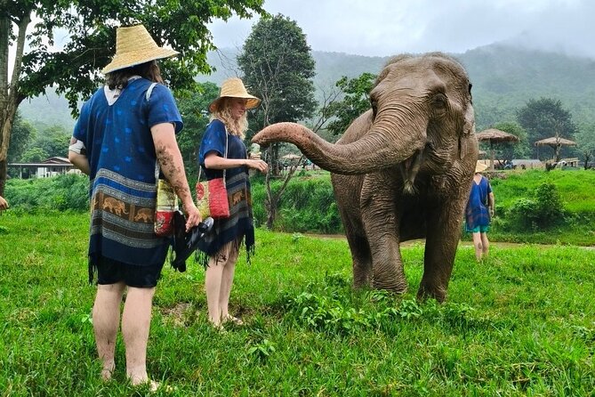 4 in 1 Elephants Long Neck Rafting and Sticky Waterfall Tour - Price and value: why $88.01 can make sense for a 4-in-1 day