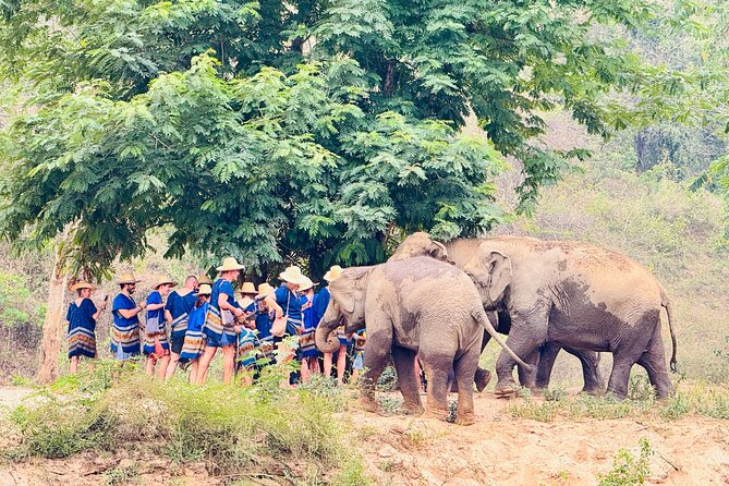 4 in 1 Elephants Long Neck Rafting and Sticky Waterfall Tour - What to bring for Sticky Waterfall and rafting