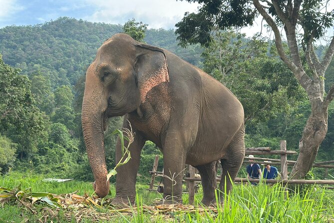4 in 1 Elephants Long Neck Rafting and Sticky Waterfall Tour - Sticky Waterfall (Bua Thong) and that limestone climb
