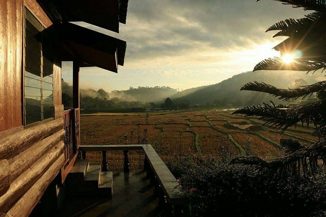 5 Day Tuk Tuk Adventure in Chiang Mai - with driver - Day 4 the Tuk Tuks rest, and you explore the Doi Inthanon foothills on foot