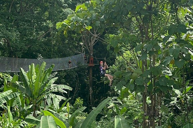 7 Hour Sticky Waterfall and Zipline Adventure - The full-day flow: how the 7 hours fit together