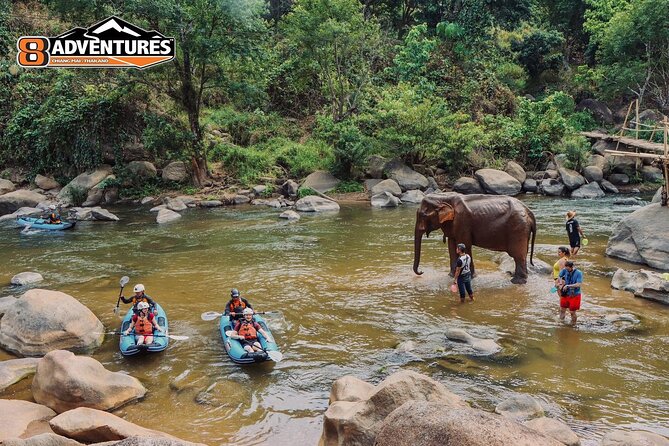 8KM White Water Rafting and 3HRS Jungle Trekking Adventure - The Best Part: A Structured Full-Day Adventure in Chiang Mai