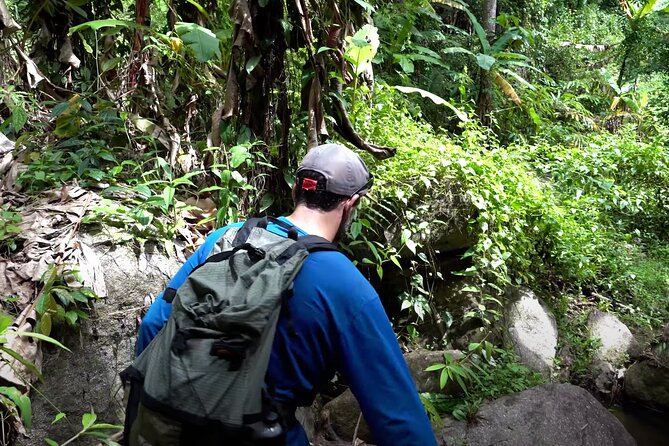 8KM White Water Rafting and 3HRS Jungle Trekking Adventure - Pickup, the Air-Conditioned Ride, and Camp Setup at Mae Taeng Base Camp