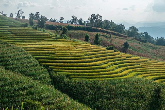 A Day Trip to Doi Inthanon Escape to Nature - National Park trails and Pha Dok Seaw waterfall