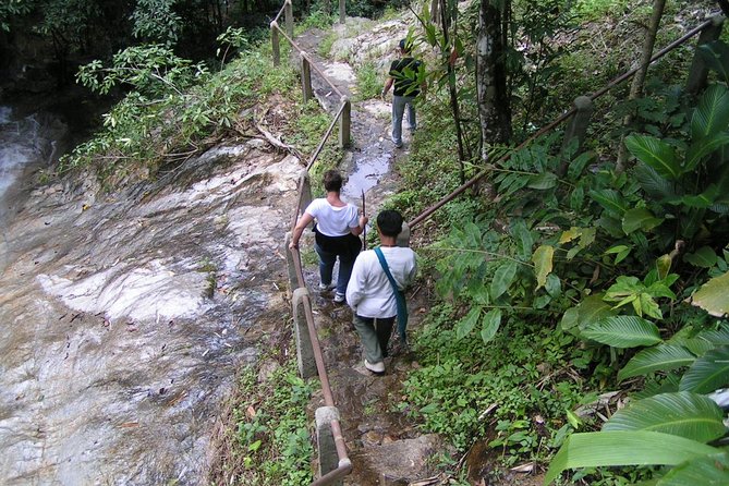 Authentic Mae Kham Pong Village Cultural Experience - Hotel Pickup and a 9:00am Start: What Your Day Really Looks Like