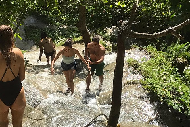 Best of Chiang Mai: Private Tour in a Day - Wat Phra That Doi Suthep: The Temple, the Steps, and the View