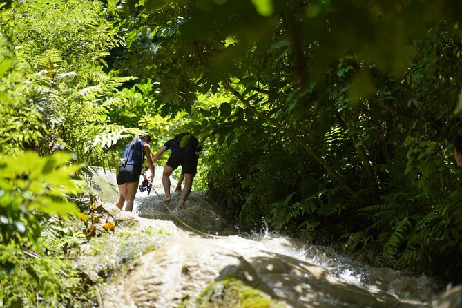 Bua Tong Waterfall Adventure& Huge Cave included Thai Buffet Tour - Thai-style lunch plus snacks, the calm reset before you head back