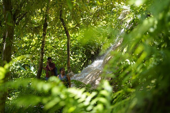Bua Tong Waterfall Adventure& Huge Cave included Thai Buffet Tour - Small-group pacing: why a guide changes the day