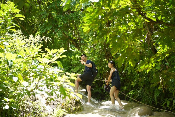 Bua Tong Waterfall Adventure& Huge Cave included Thai Buffet Tour - Price and value: does $34.07 make sense for a 6.5-hour day?
