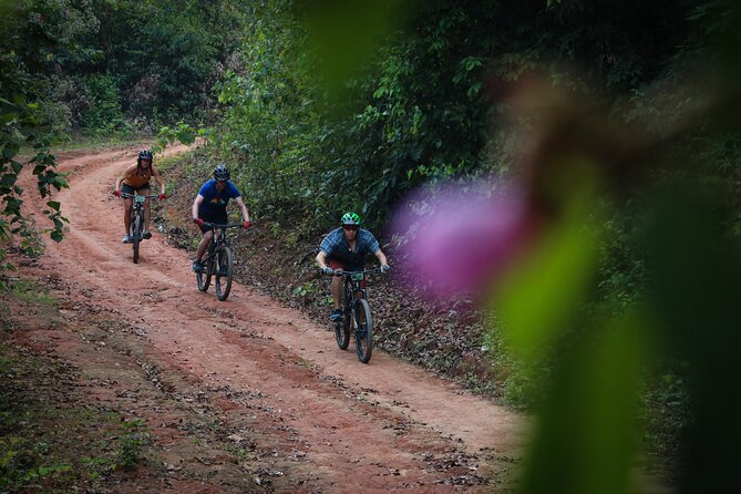 Buffalo Soldier Trail Mountain Biking Tour from Chiang Mai with Lunch - Morning Flow: Pickup, Trailhead Coffee, and the Timing That Matters