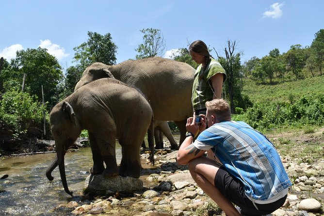 Care Pride Elephants: Full-Day Tour Experience - Thai lunch and bottled water: when the day slows down