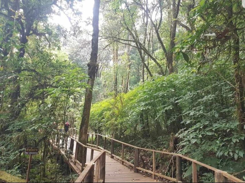Chang Mai: Doi Inthanon Day Tour w/Waterfalls & Hilltribes - Getting picked up from Chiang Mai, then swapping heat for highland air