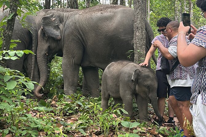 Chiang Mai 1 Day: Elephant Sanctuary, Waterfall & Bamboo Rafting - Key things that make this tour memorable