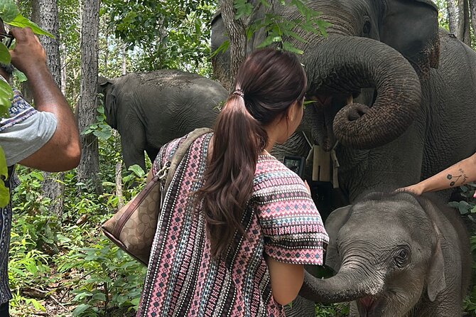 Chiang Mai 1 Day: Elephant Sanctuary, Waterfall & Bamboo Rafting - Price and value: what $77.99 really covers