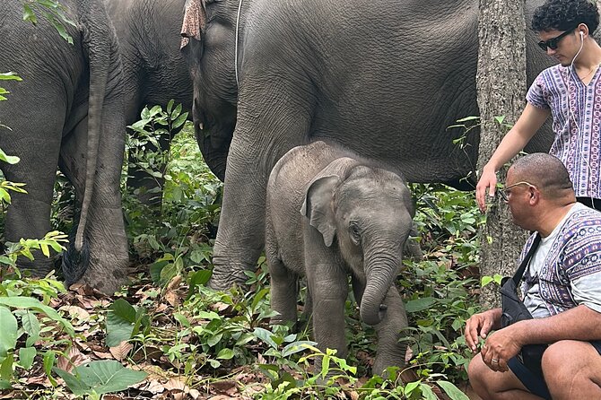 Chiang Mai 1 Day: Elephant Sanctuary, Waterfall & Bamboo Rafting - Who this tour is best for, and who should think twice