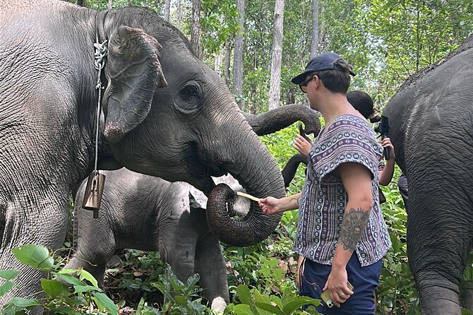 Chiang Mai 1 Day: Elephant Sanctuary, Waterfall & Bamboo Rafting - Practical advice for making the most of the day