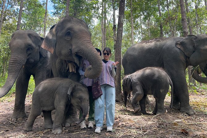 Chiang Mai 1 Day: Elephant Sanctuary, Waterfall & Bamboo Rafting - Should you book this Chiang Mai elephant sanctuary, waterfall, and bamboo rafting day?