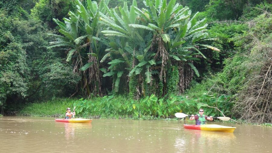 Chiang Mai: 15 km Leisure River Kayaking at Mae Ngat forest - Safety and Paddling Practice: Being the Captain (Not the Passenger)