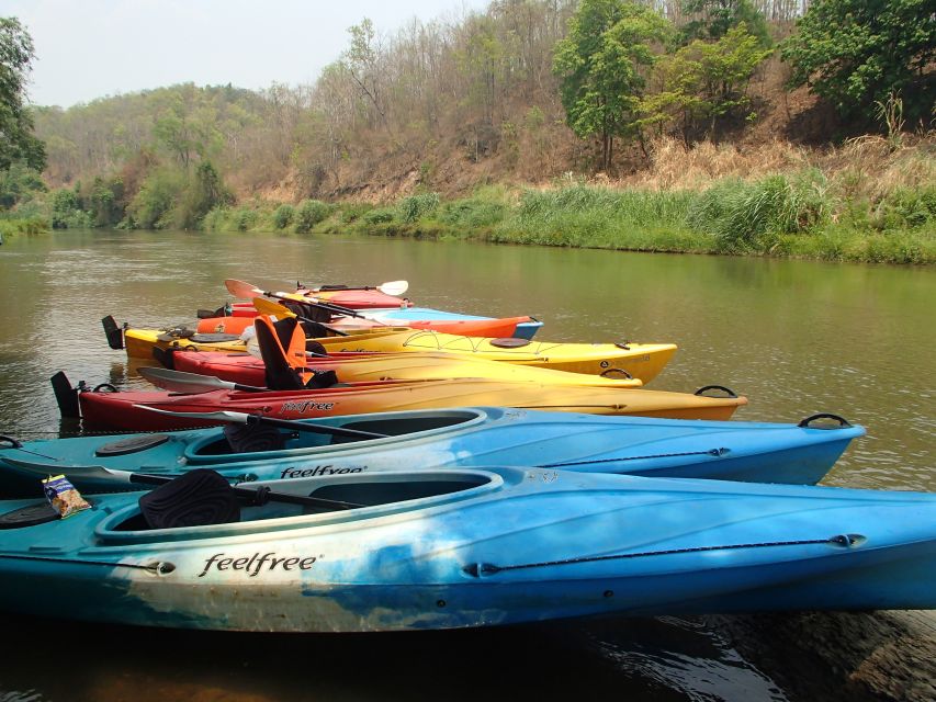 Chiang Mai: 15 km Leisure River Kayaking at Mae Ngat forest - Mae Taeng Forest Reserve Finish: Shade, Overhanging Trees, and a Slower Mood