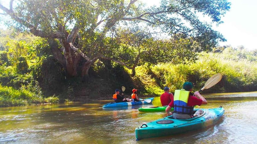 Chiang Mai: 15 km Leisure River Kayaking at Mae Ngat forest - Price and Value: Is $62 a Good Deal for a Quiet Day on Water?