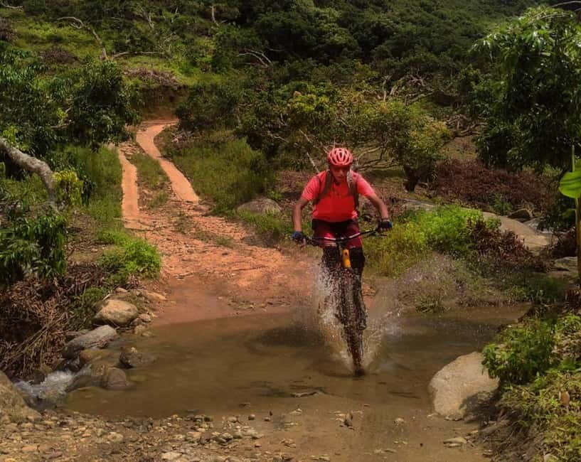 Chiang Mai: 20km Downhill Mountain Biking Challenge Suthep M - Key points before you go