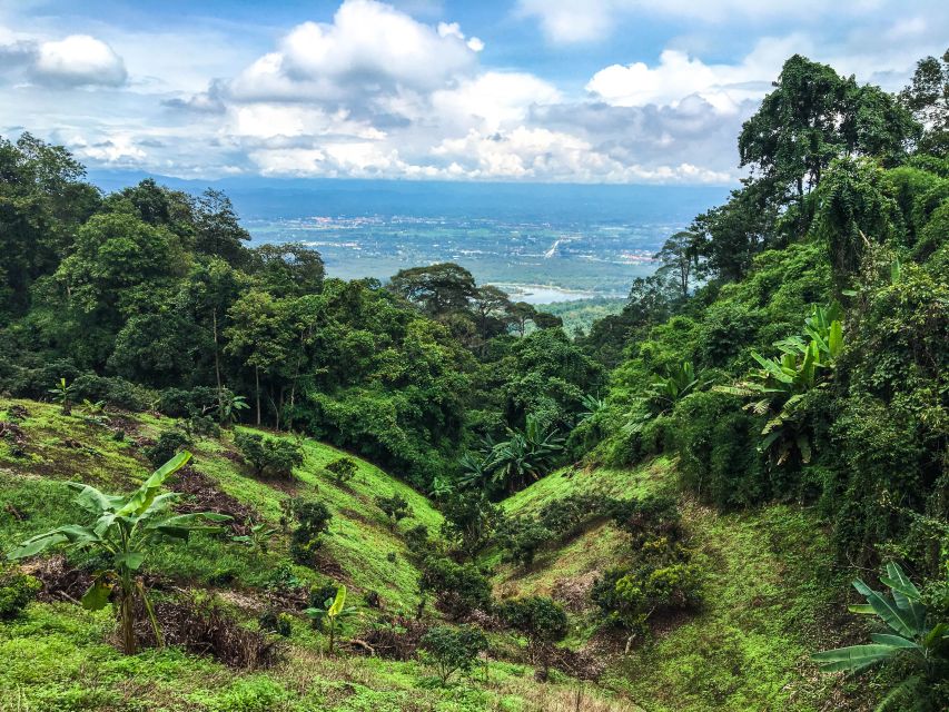 Chiang Mai: 20km Downhill Mountain Biking Challenge Suthep M - Who should book this downhill day, and who should rethink it