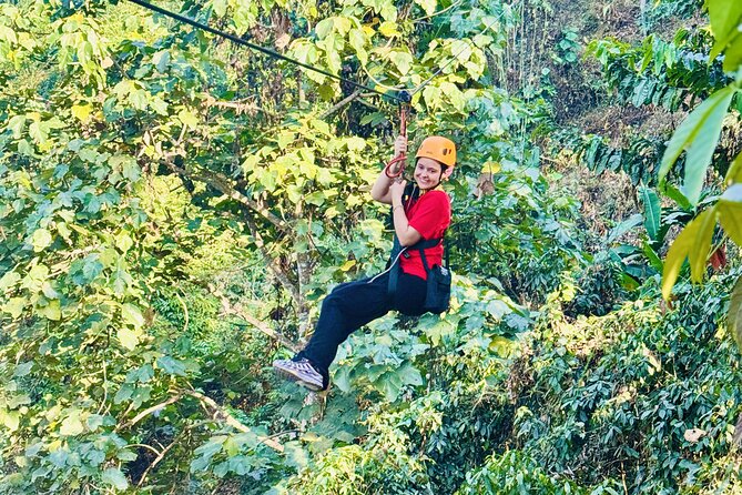 Chiang Mai 3 in 1 Zipline, Elephants and Sticky Waterfall - A full-day plan that actually fits together