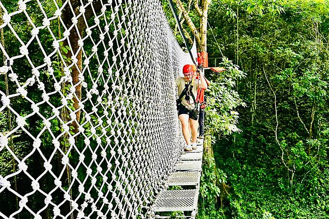 Chiang Mai 3 in 1 Zipline, Elephants and Sticky Waterfall - Ziplining through the jungle canopy in real time
