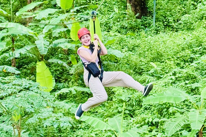 Chiang Mai 3 in 1 Zipline, Elephants and Sticky Waterfall - Elephant sanctuary time: feed, learn, and focus on care
