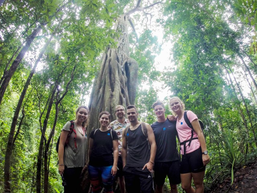 Chiang Mai: 7-Hour Doi Suthep National Park Summit Hiking - Key points to know before you go