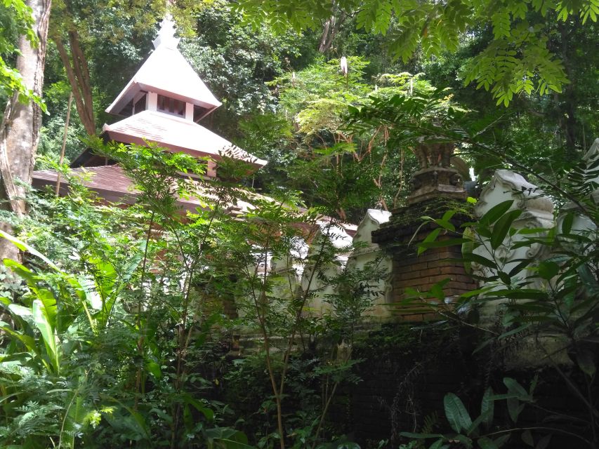 Chiang Mai: 7-Hour Doi Suthep National Park Summit Hiking - Pace, Footing, and the Stuff Your Legs Will Notice First