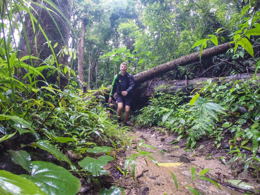 Chiang Mai: 7-Hour Doi Suthep National Park Summit Hiking - Transportation, Hydration, and the Support Truck That Saves Your Day