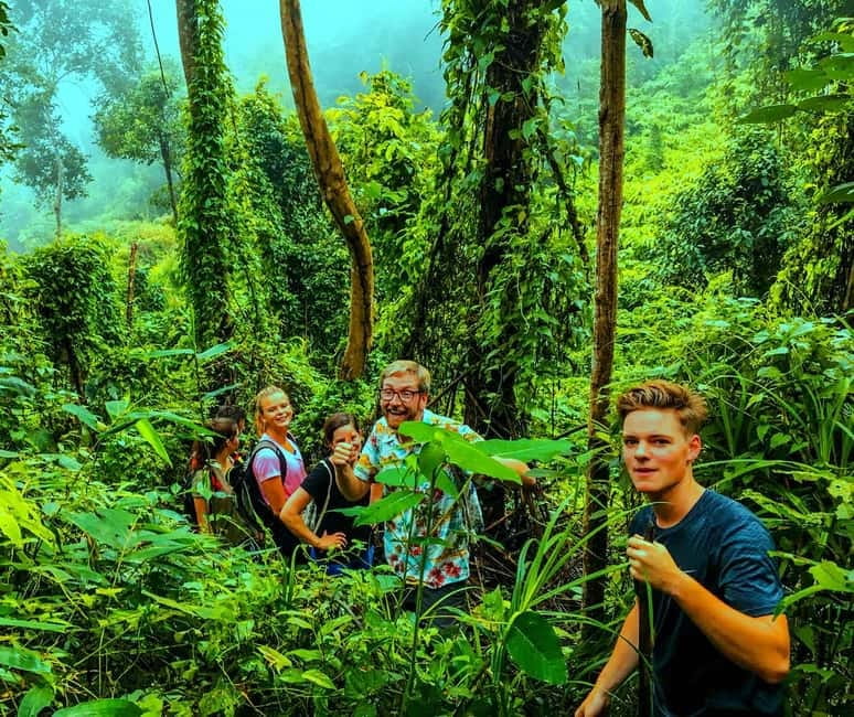 Chiang Mai: 7-Hour Doi Suthep National Park Summit Hiking - Lunch Time, Energy Gaps, and What to Pack