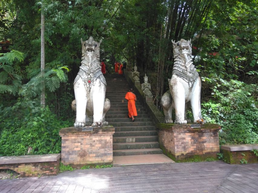 Chiang Mai: 7-Hour Doi Suthep National Park Summit Hiking - Wat Pha Lat Monk Trail: The Cool, Green Start